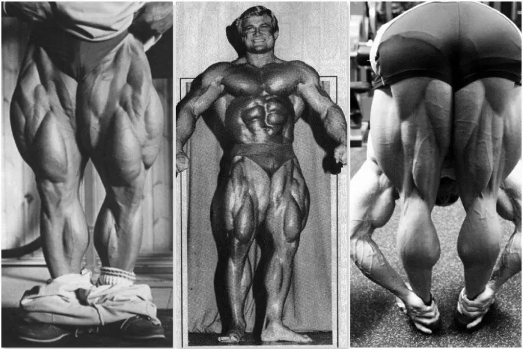Quadriceps et ischio-jambier de Tom Platz